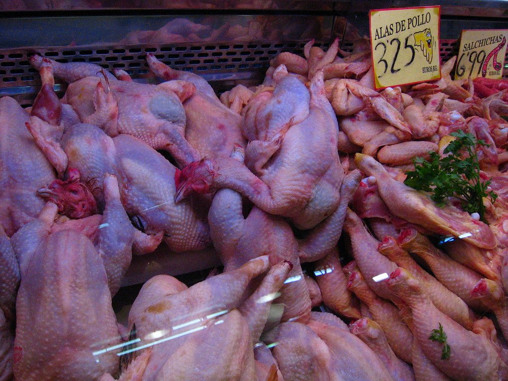 Carcasa de pollo